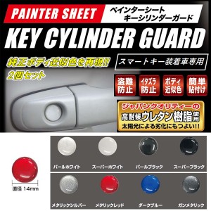 ハセプロ ペインターシート キーシリンダー ガード 純正近似色 イタズラ防止 盗難防止 鍵穴シール 【8カラー】