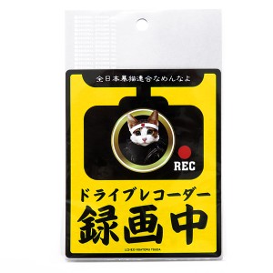 ゼネラルステッカー なめ猫 なめんなよ ドラレコステッカー ドラレコ録画中 ドライブレコーダー搭載車 あおり運転 126mm×104mm LCS-835