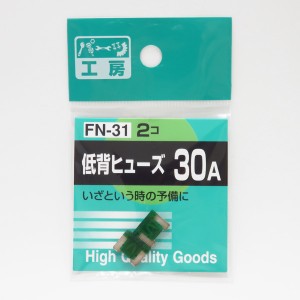 パーツ工房 低背ヒューズ 30A 2個 電装品・配線回路の保護に FN-31