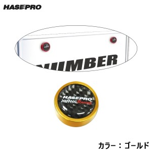 ハセプロ/HASEPRO ナンバーボルトガーニッシュNEO 2ピース ゴールド 金 簡単ドレスアップ 車 盗難防止 レーシングロゴ カーボン BGN-1GLD