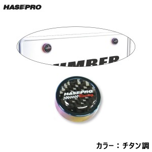 ハセプロ/HASEPRO ナンバーボルトガーニッシュNEO 2ピース チタン調 簡単ドレスアップ 車 盗難防止 レーシングロゴ カーボン BGN-1TTN