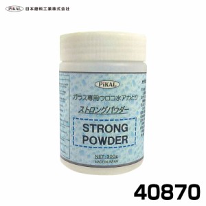 ストロングパウダー ガラス研磨剤 300g 強力 ウロコ 水アカ除去剤 業務用研磨剤 車や家の窓ガラスに ウォータースポット ピカール 40870