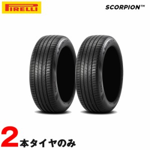 255/45R19 100V シールインサイド サマータイヤ SCORPION 2本 ピレリ モデルS/Y ティグアン ID.7 Sクラス C40/XC40 A8/Q8 パナメーラ等