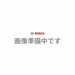 カ-ボンブラシセット（2個入）  BOSCH（ボッシュ） 2604321904
