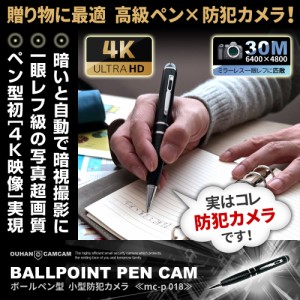 ペン型 カメラ 日本製の通販｜au PAY マーケット
