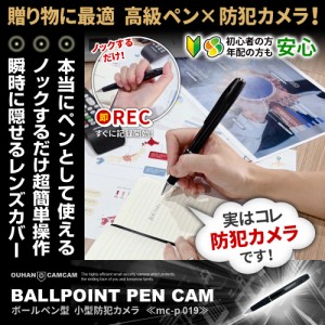 カメラ ペン型の通販｜au PAY マーケット