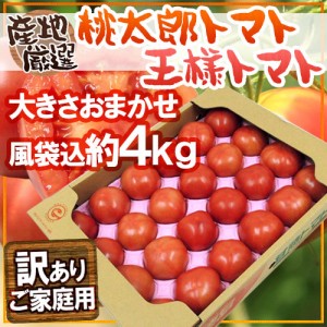 訳あり ”桃太郎トマトor王様トマト ほか” 約4kg 大きさおまかせ 産地厳選【予約 5月上旬以降】 送料無料