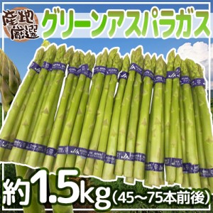 ”グリーンアスパラガス” 45〜75本前後 約1.5kg /北海道/長野/広島/佐賀/福岡 など産地厳選【予約 3月末以降】 送料無料