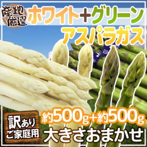 ”グリーン＋ホワイトアスパラガスセット” 訳あり 約500g＋約500g（計約1kg） 産地厳選【予約 7月末以降】 送料無料