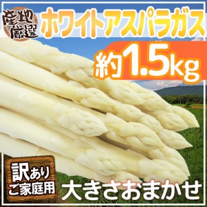 ”ホワイトアスパラガス” 訳あり 約1.5kg 北海道/長野/広島/佐賀/福岡 など産地厳選【予約 7月末以降】 送料無料