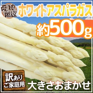 ”ホワイトアスパラガス” 訳あり 約500g 北海道/長野/広島/佐賀/福岡 など産地厳選【予約 7月末以降】