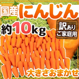 国内産限定！ ”にんじん” 訳あり 約10kg 産地おまかせ 人参 送料無料