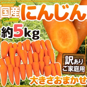 国内産限定！産地おまかせ 訳あり ”にんじん” 約5kg