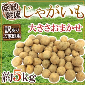 ”じゃがいも” 訳あり 約5kg 大きさおまかせ 産地厳選 送料無料