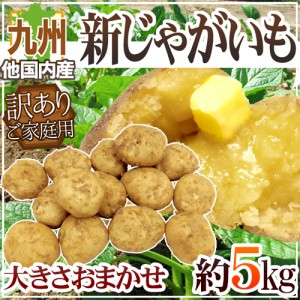 ”新じゃがいも” 訳あり 約5kg 大きさおまかせ 九州ほか国内産【予約 2月下旬以降】 送料無料