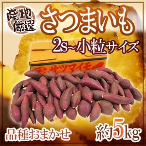 ”さつまいも” 秀品 2S〜小粒サイズ 約5kg 品種おまかせ 産地厳選【予約 入荷次第発送】 送料無料