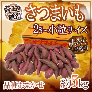 ”さつまいも” 訳あり 2S〜小粒サイズ 約5kg 品種おまかせ 産地厳選【予約 入荷次第発送】 送料無料