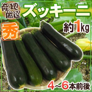 産地厳選 ”ズッキーニ” 秀品 4〜6本前後 約1kg