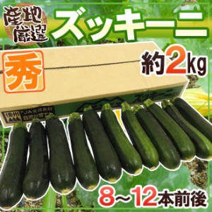 産地厳選 ”ズッキーニ” 秀品 8〜12本前後 約2kg