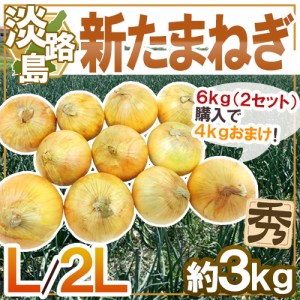 淡路島 ”新たまねぎ” 秀品 L/2L 約3kg《2セット購入で4kgおまけ→10kgでお届け♪》【予約 4月末以降】 送料無料