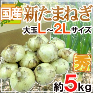 ”新たまねぎ” 秀品 L/2Lサイズ 約5kg 九州・四国・淡路・北海道 産地厳選【予約 3月下旬以降】 送料無料