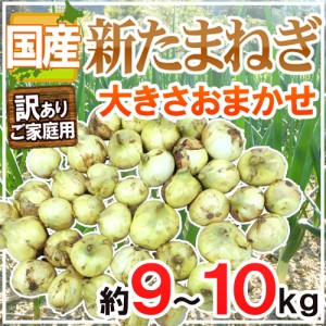 ”新たまねぎ” 訳あり 約9〜10kg 大きさおまかせ 検品なし 九州・四国・淡路・北海道 産地厳選 【予約 3月下旬以降】 送料無料