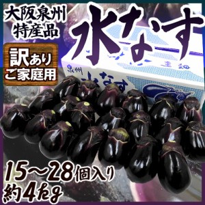 大阪泉州 ”水なす” 風袋込約4kg 訳あり ご家庭用【予約 3月以降】 送料無料