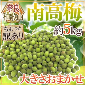 奈良・和歌山産 ”南高梅” ちょっと訳あり 約5kg 大きさおまかせ【予約 6月初旬以降】 送料無料