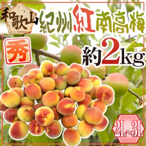 紀州・和歌山産 ”紅南高梅” 秀品 2L〜3L 約2kg【予約 5月下旬以降】 送料無料