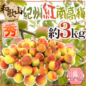 紀州・和歌山産 ”紅南高梅” 秀品 2L〜3L 約3kg【予約 5月下旬以降】 送料無料