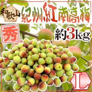 紀州・和歌山産 ”紅南高梅” 秀品 L 約3kg【予約 5月下旬以降】 送料無料