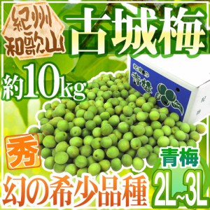 紀州・和歌山産 ”古城梅” 秀品 2L〜3L 約10kg【予約 5月末以降】 送料無料