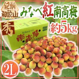 紀州・和歌山産 ”みなべ紅南高梅” 秀品 2L 約5kg【予約 5月末以降】 送料無料