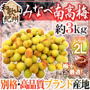 紀州・和歌山産 ”みなべ南高梅 熟梅” 秀品 2L 約3kg【予約 6月以降】 送料無料