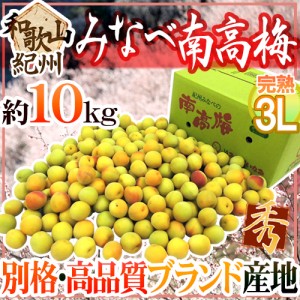 紀州・和歌山産 ”みなべ南高梅 熟梅” 秀品 3L 約10kg【予約 6月以降】 送料無料