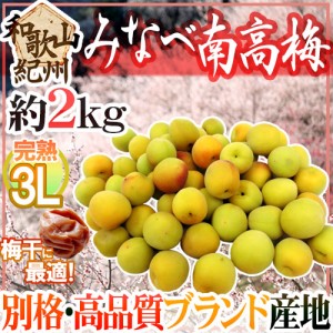 紀州・和歌山産 ”みなべ南高梅 熟梅” 秀品 3L 約2kg【予約 6月以降】 送料無料