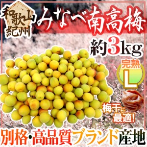 紀州・和歌山産 ”みなべ南高梅 熟梅” 秀品 L 約3kg【予約 6月以降】 送料無料