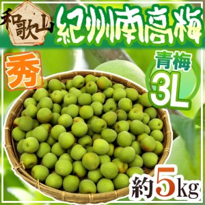 紀州・和歌山産 ”南高梅 青梅” 秀品 3L 約5kg【予約 5月中旬以降】 送料無料