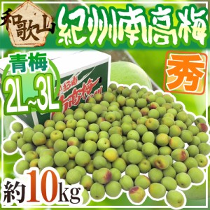 紀州・和歌山産 ”南高梅 青梅” 秀品 2L〜3L 約10kg【予約 5月中旬以降】 送料無料