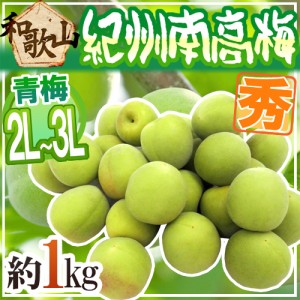 紀州・和歌山産 ”南高梅 青梅” 秀品 2L〜3L 約1kg《10キロ以上ご購入で送料無料》【予約 5月中旬以降】