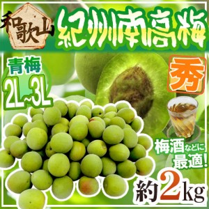 紀州・和歌山産 ”南高梅 青梅” 秀品 2L〜3L 約2kg【予約 5月中旬以降】 送料無料