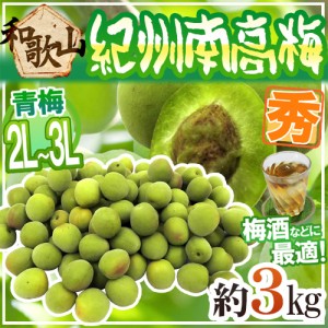 紀州・和歌山産 ”南高梅 青梅” 秀品 2L〜3L 約3kg【予約 5月中旬以降】 送料無料