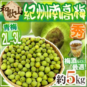 紀州・和歌山産 ”南高梅 青梅” 秀品 2L〜3L 約5kg【予約 5月中旬以降】 送料無料