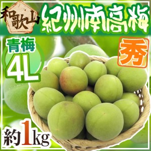 紀州・和歌山産 ”南高梅 青梅” 秀品 4L 約1kg《10キロ以上ご購入で送料無料》【予約 5月中旬以降】