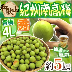 紀州・和歌山産 ”南高梅 青梅” 秀品 4L 約5kg【予約 5月中旬以降】 送料無料