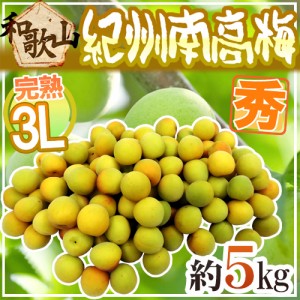 紀州・和歌山産 ”南高梅 完熟” 秀品 3L 約5kg【予約 6月以降】 送料無料