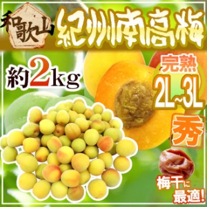 紀州・和歌山産 ”南高梅 完熟” 秀品 2L〜3L 約2kg【予約 6月以降】 送料無料