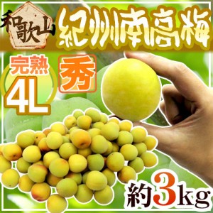 紀州・和歌山産 ”南高梅 完熟” 秀品 4L 約3kg【予約 6月以降】 送料無料