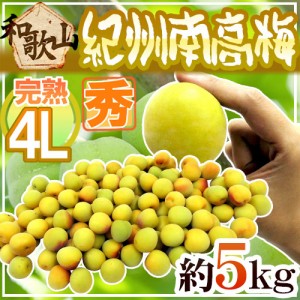 紀州・和歌山産 ”南高梅 完熟” 秀品 4L 約5kg【予約 6月以降】 送料無料