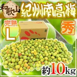 紀州・和歌山産 ”南高梅 完熟” 秀品 L 約10kg【予約 6月以降】 送料無料